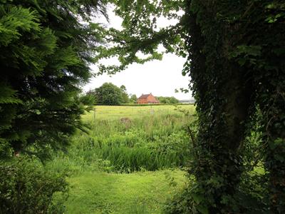 Picture 22